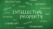 Belgium intellectual property rights investigator